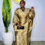 IVY ORGANDY DRESS 006